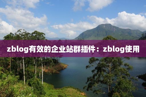 zblog有效的企业站群插件：zblog使用