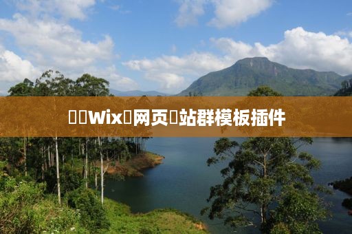 ‌‌Wix‌网页‌站群模板插件