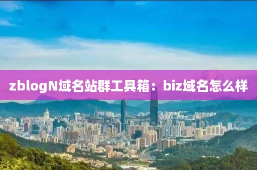 zblogN域名站群工具箱：biz域名怎么样