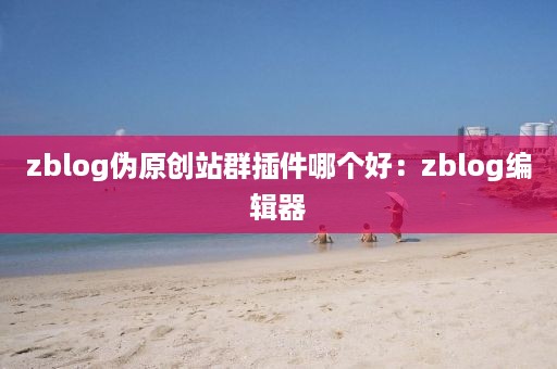 zblog伪原创站群插件哪个好：zblog编辑器