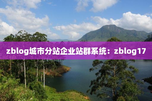 zblog城市分站企业站群系统：zblog17